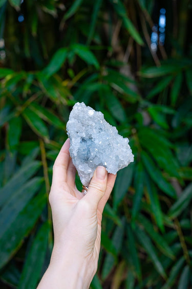 Celestite Cluster